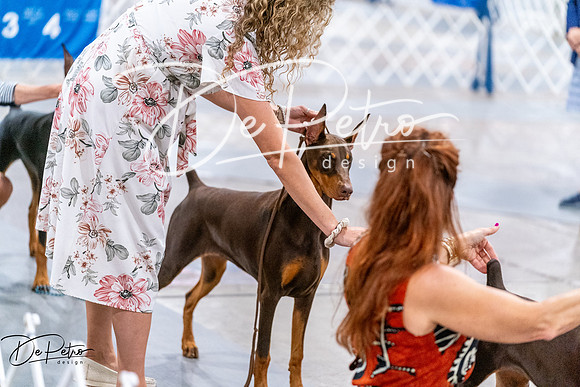 20260702-DSC00605