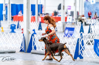 20260702-DSC00614