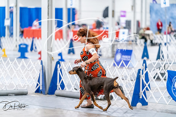 20260702-DSC00614