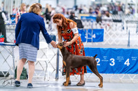 20260702-DSC00637