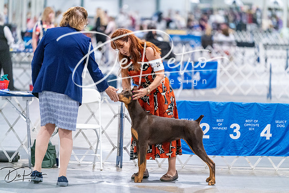20260702-DSC00637
