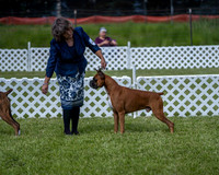 20210522-DSC08730