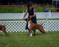 20210522-DSC08732