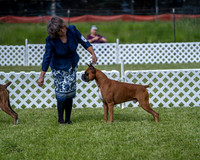 20210522-DSC08729