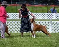 20210522-DSC08752