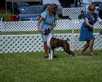 20210522-DSC08737