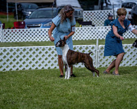 20210522-DSC08736