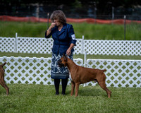 20210522-DSC08747