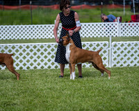 20210522-DSC08734
