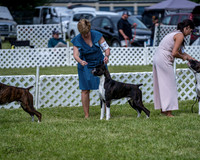 20210522-DSC08741