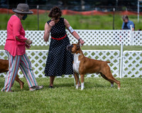 20210522-DSC08754