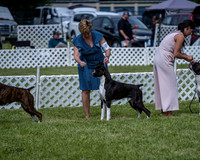 20210522-DSC08740