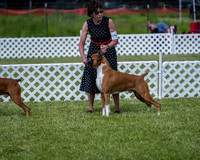 20210522-DSC08735