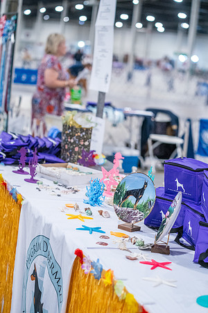 20260705-DSC06662