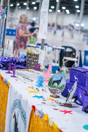 20260705-DSC06664