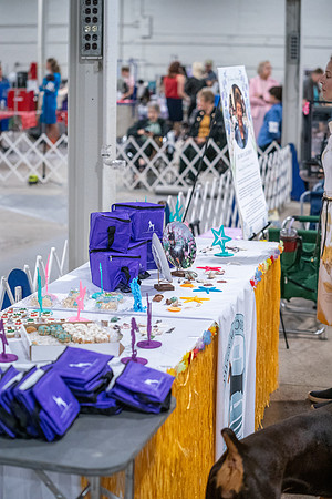 20260705-DSC06660