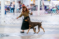 20260705-DSC06805