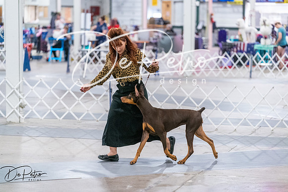 20260705-DSC06805