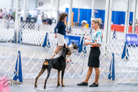 20260705-DSC06796