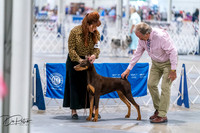 20260705-DSC06800