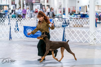 20260705-DSC06820