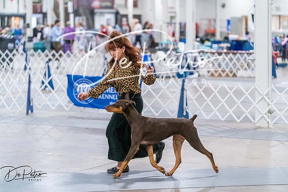 20260705-DSC06820