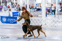 20260705-DSC06815