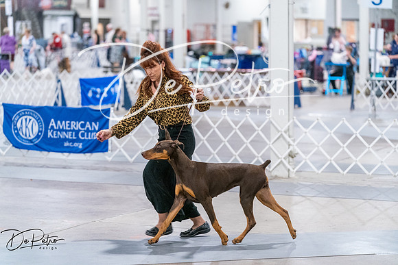 20260705-DSC06815