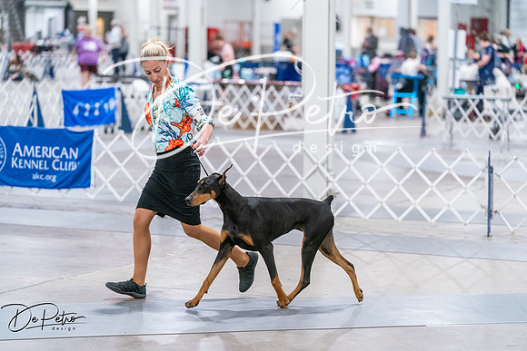 20260705-DSC06852
