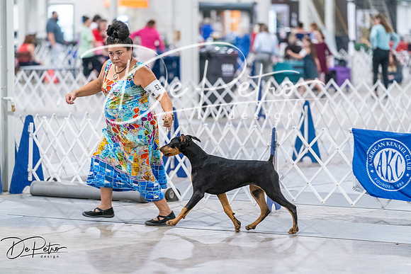 20260705-DSC06936