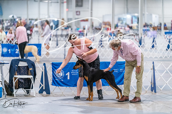 20260705-DSC07017