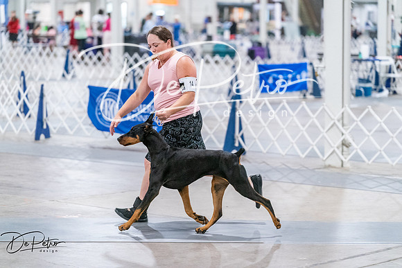 20260705-DSC07033