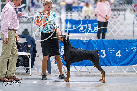 20260705-DSC07107