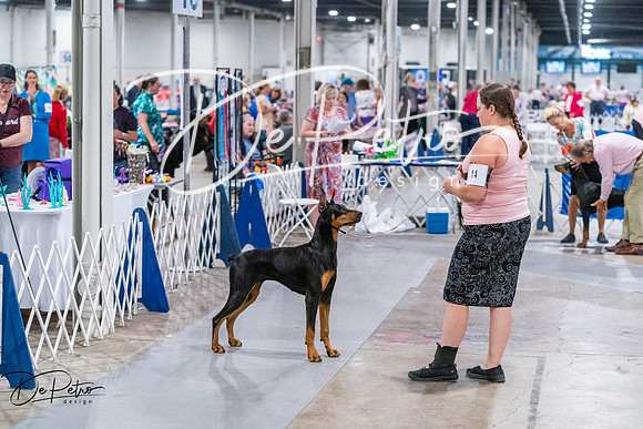 20260705-DSC07116