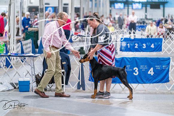 20260705-DSC07167