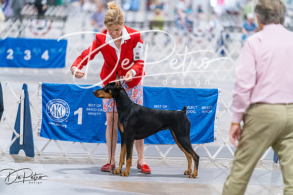 20260705-DSC07225