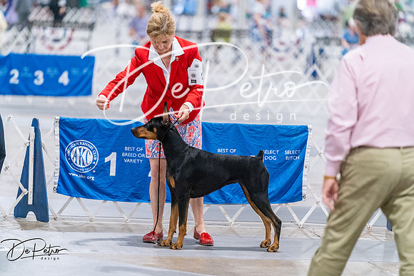 20260705-DSC07226