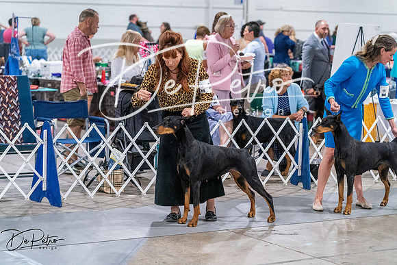 20260705-DSC07253