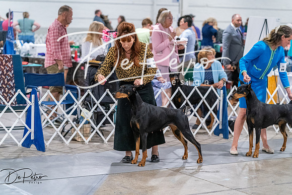 20260705-DSC07254