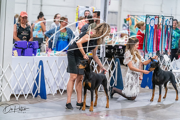 20260705-DSC07260