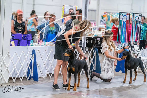 20260705-DSC07262