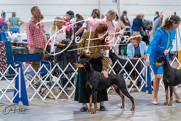 20260705-DSC07283