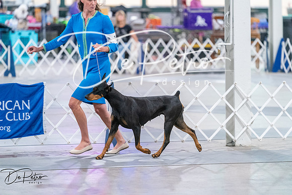 20260705-DSC07296