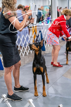 20260705-DSC07326