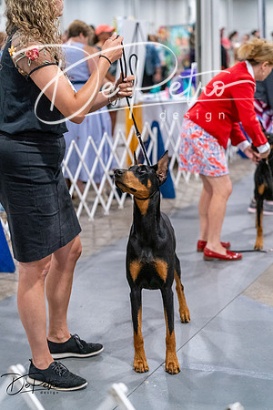 20260705-DSC07327
