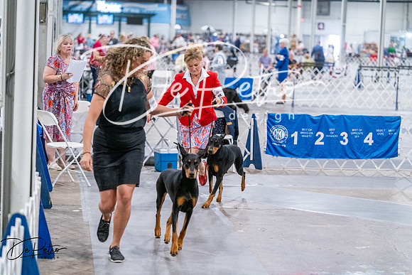 20260705-DSC07435