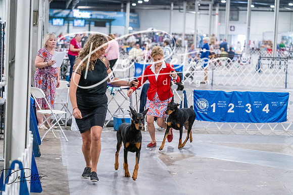 20260705-DSC07430