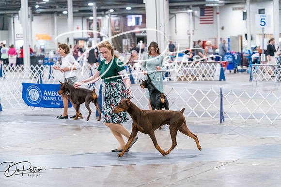 20260705-DSC07463