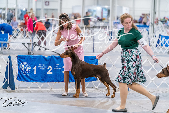 20260705-DSC07476