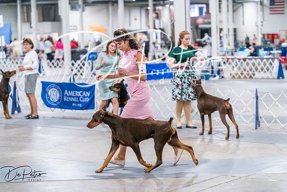 20260705-DSC07491